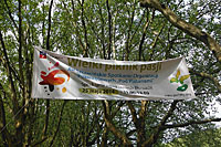 platany2014 108 th